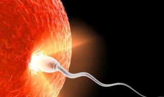 怀孕多久可以做b超 怀孕多久可以做b超